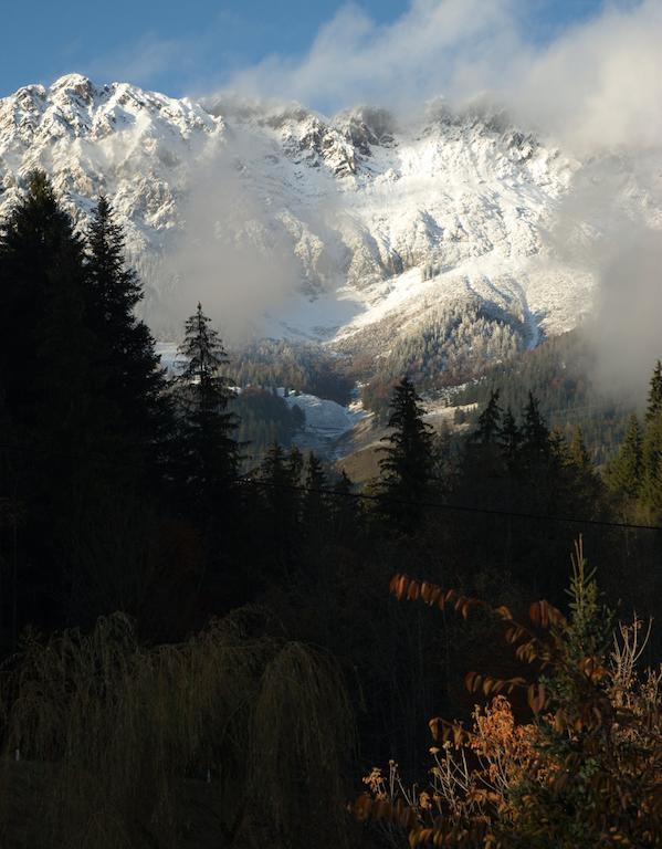 Aloisia Scheffau am Wilden Kaiser