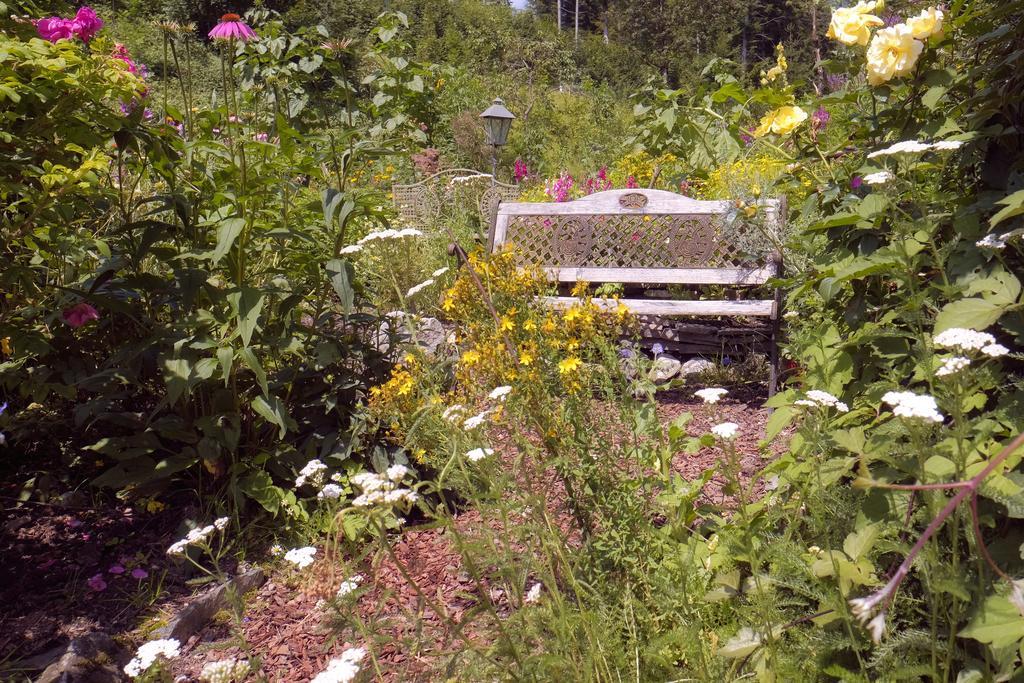 Aloisia Pensjonat Scheffau am Wilden Kaiser