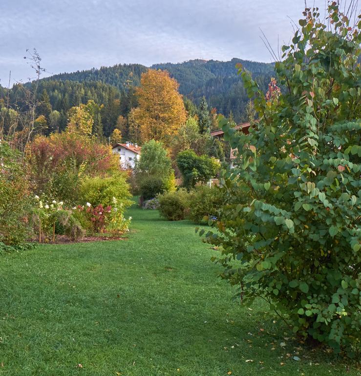 Aloisia Pensión Scheffau am Wilden Kaiser